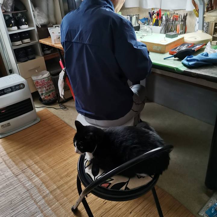 5e2b230c 4125 4390 935f 81f229e76f9a 1711942844585