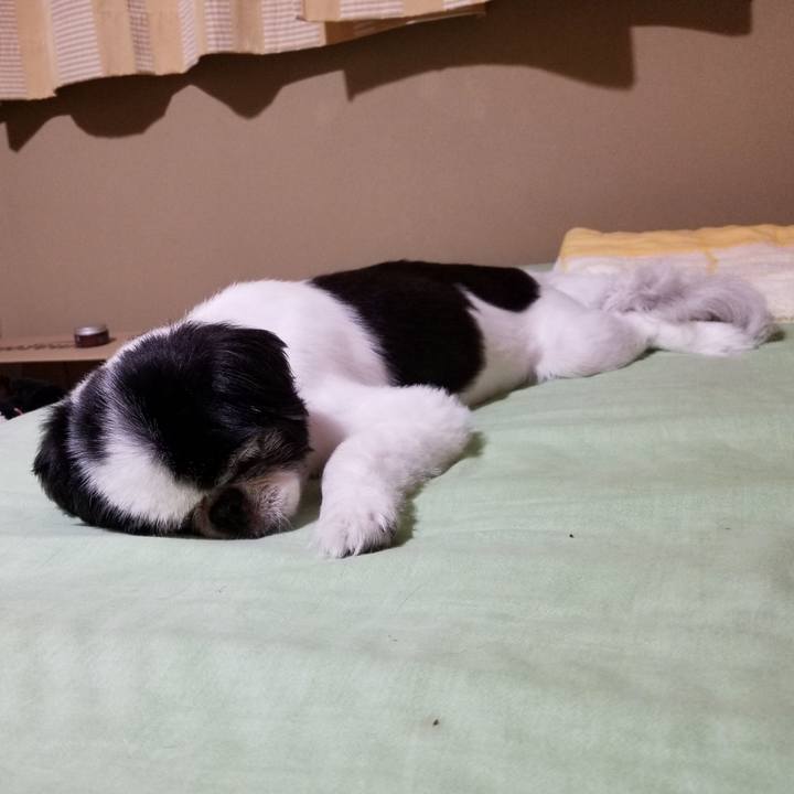 5e2b2c9a e438 4669 abd5 e82c9cd942e0 1594126037108