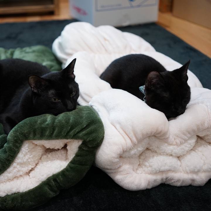 5e2b40d4 9a7b 468f aeb1 097790ec2d4c 1510184768162