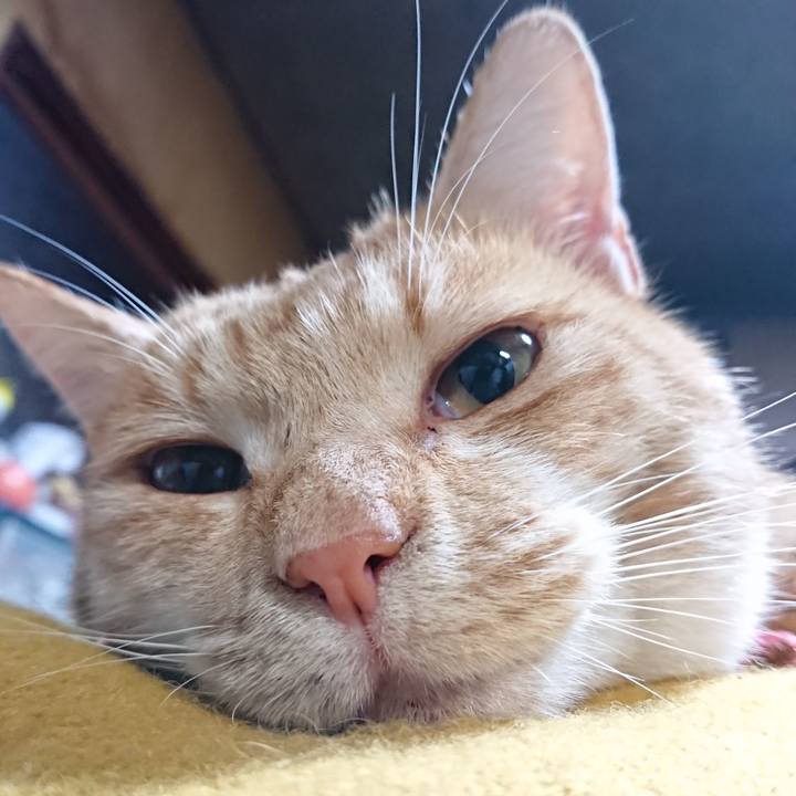 5e2b45ac dc48 4e1c bc77 12f7a2369c06 1573554576104