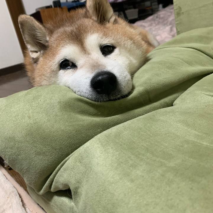 5e2b4e08 8ffc 4625 b13c 9478cd350e06 1617026840057