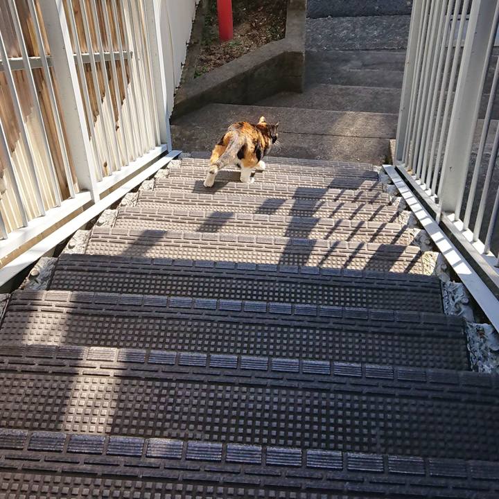 5e2b5240 0a91 4437 af74 ec2335edb9b6 1550968800106