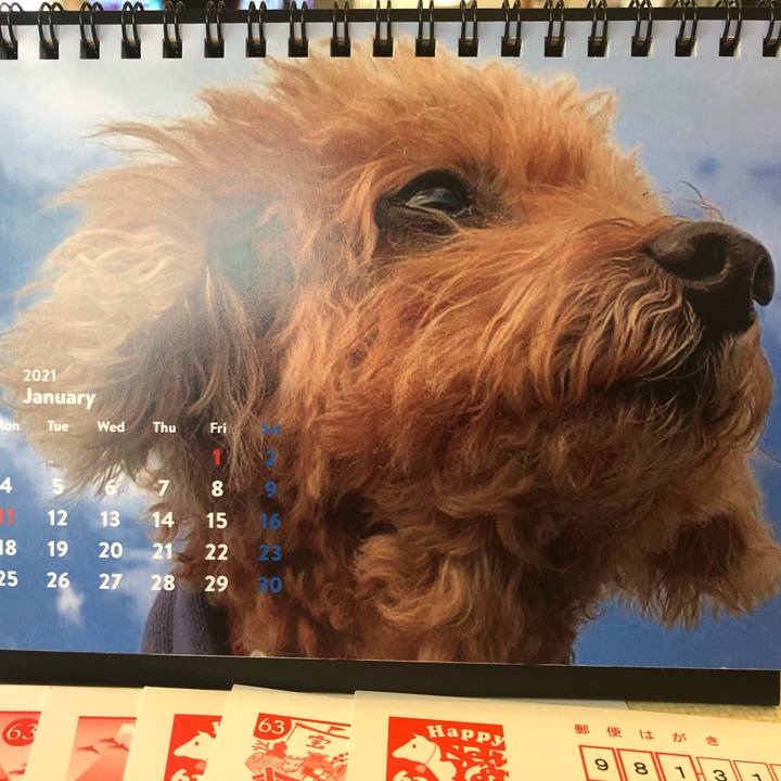 5e2b697b 3436 4acc a5c5 2192dbdc753f 1609473775783