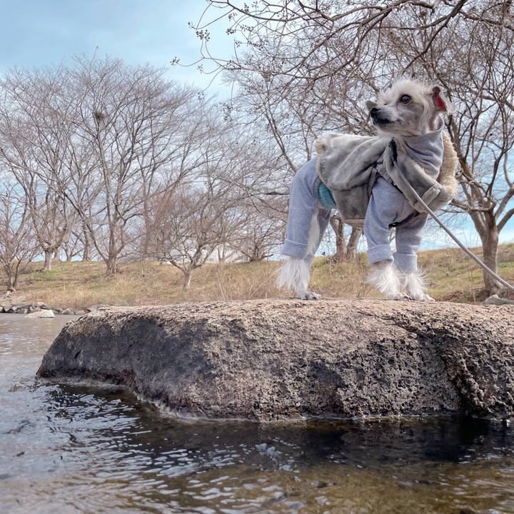 5e2b7066 9d7b 4f09 a717 e5523ac8928a 1771919684751