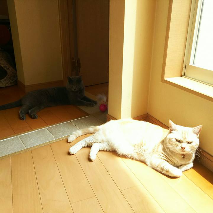 5e2bb4fa b908 425b 9da1 993efbea7688 1529637044658