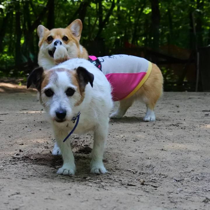 5e2bd8f5 4da8 4d07 938b 16dd562e9873 1624016712587