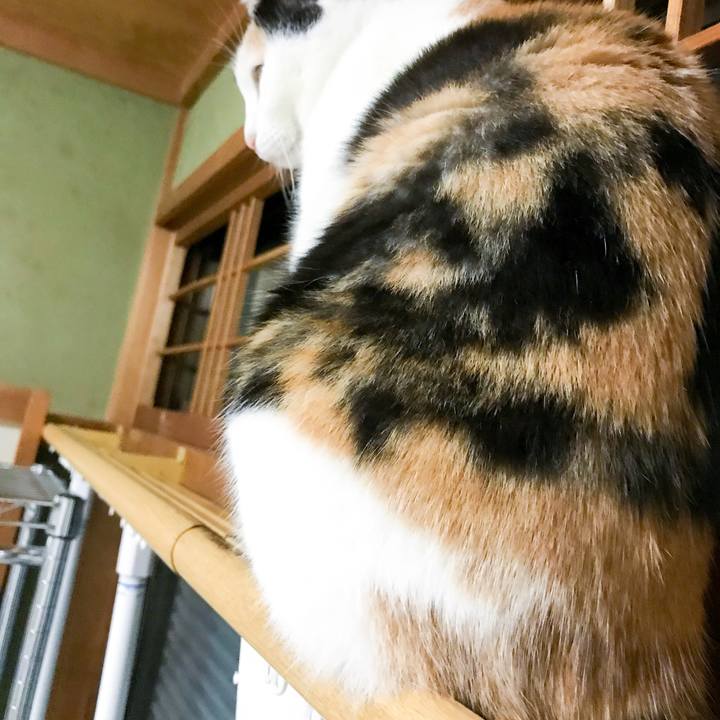 5e2be692 2a60 4778 8bae 11ae91d8ac67 1516454556386