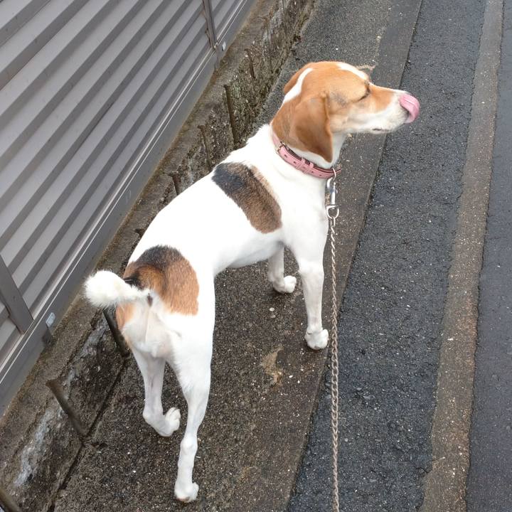 5e2c29f5 82b6 45ab 926d 13daea95c0fb 1599484220645