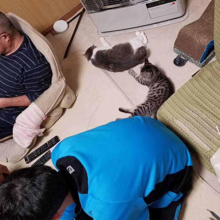 5e2c34cb d4eb 4ba8 8cf2 a243a068c721 1676641737920