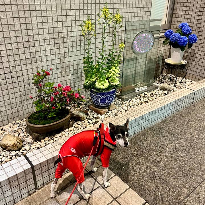 5e2c3ef2 81c4 445a 9de3 30f87bdf0684 1649854102928