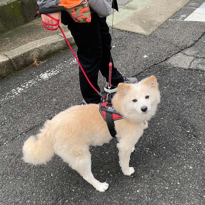 5e2c8753 a3eb 4fb7 ac1c a81a662866cb 1673747901982