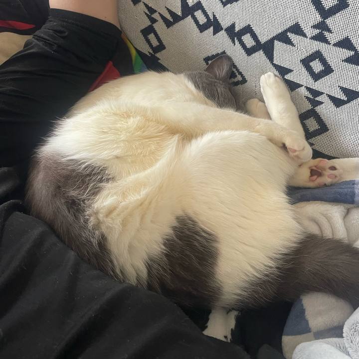 5e2c9454 ade8 4679 a8df ecfbbd65d575 1742882786042