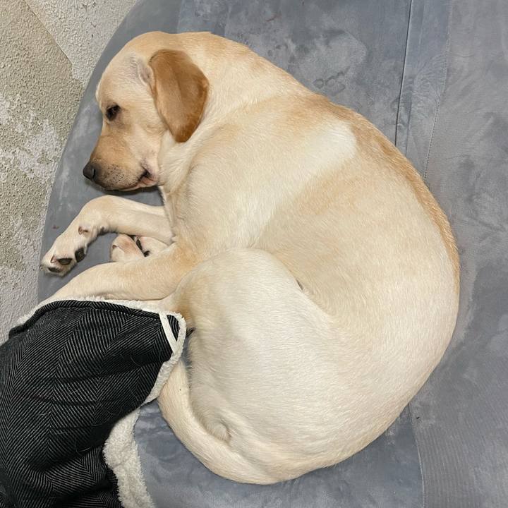 5e2caf16 d0b9 40a5 9863 09ae597efb4d 1640608733792