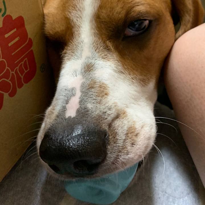 5e2cff0e 5ffe 4ea2 81d3 291dd0659e2c 1563289255119