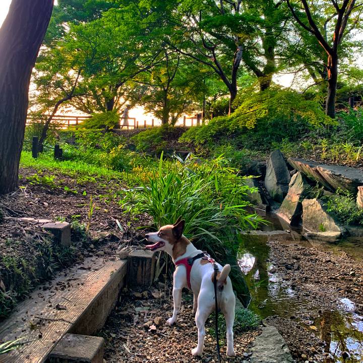 5e2d17c5 b67e 48bd 8ec8 8facf60a250a 1563883053410