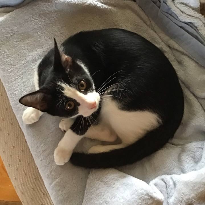 5e2d1b46 138e 41e4 8539 4b23eaaa4caf 1630468833896