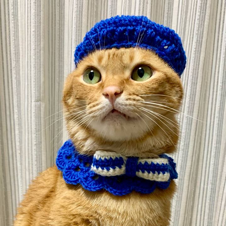 5e2d2ed7 48ce 4e03 adff dd7bbd736cce 1627558521261