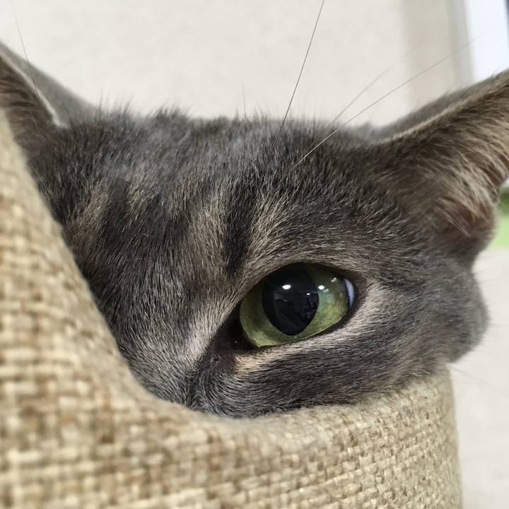 5e2d31b5 26af 474c afcb dd110e7969f7 1561636540167