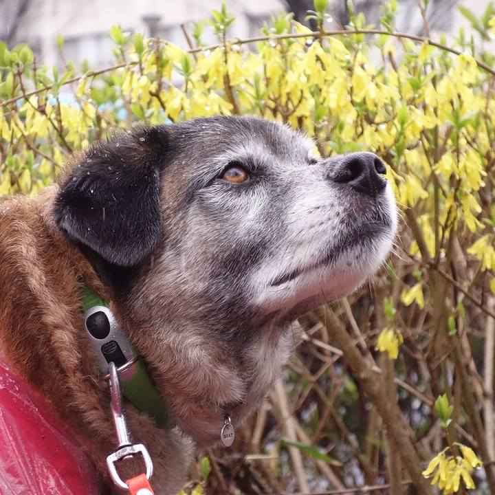 5e2d42b4 3382 4142 9c19 fad2f17160b8 1521595481903