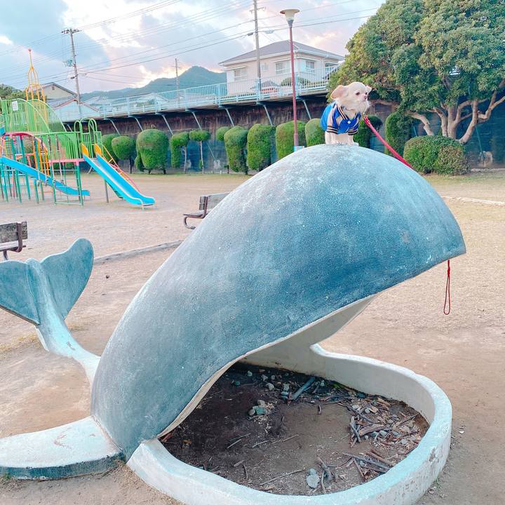 5e2d646a 9d8c 4e61 bc8e de82b57916bd 1640950282174