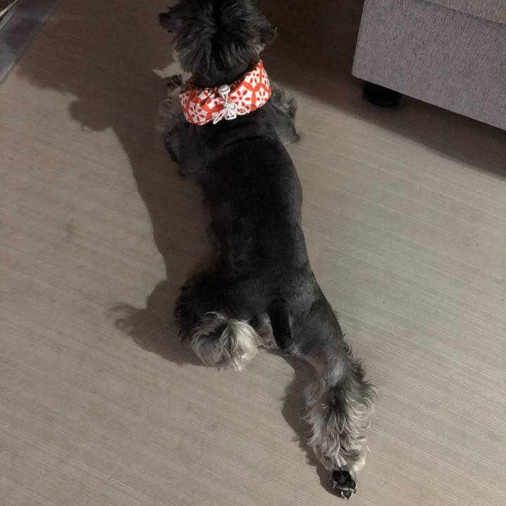 5e2d8c1c 8969 4aa3 a88b df0b489839cd 1660486520308