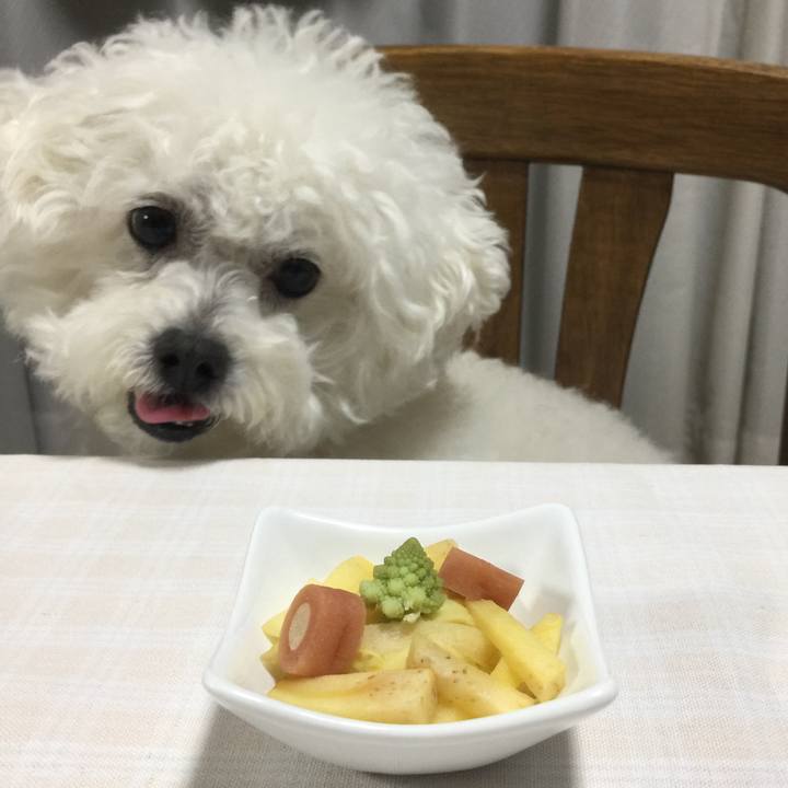 5e2d9814 aef1 45f5 b002 b4a7b5f0e13f 1549281642441