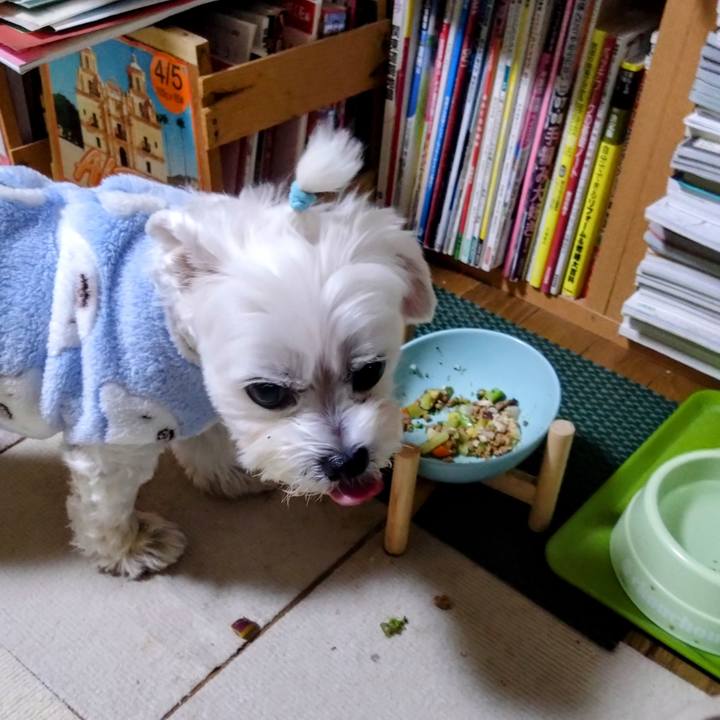 5e2dc800 69be 4acc 91cc 6548f9051c04 1732887697106