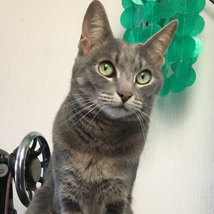 5e2e05a0 3ec9 4423 a990 4d72c0736b7f 1590307343023