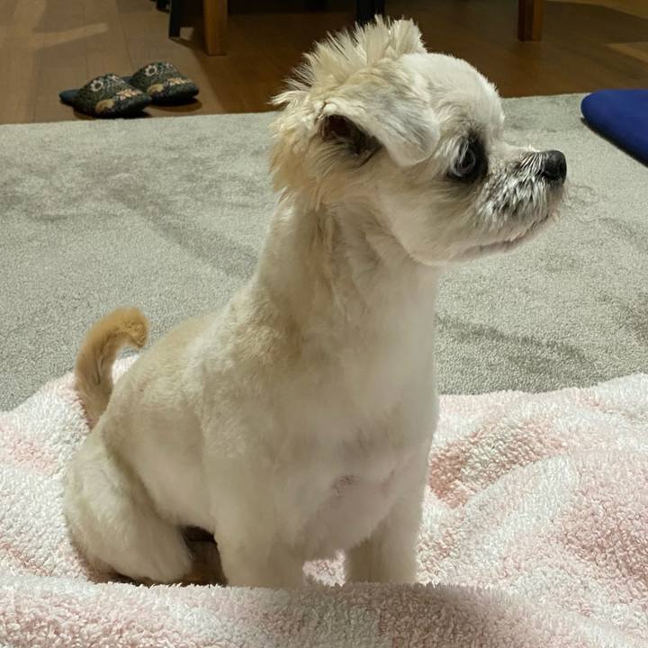 5e2e5971 fa77 4f86 a3bf 158489c93f2d 1641384632159