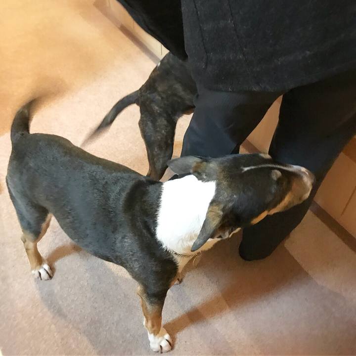 5e2e75c7 5ec5 4744 afa1 1c188f4d030f 1520932239572