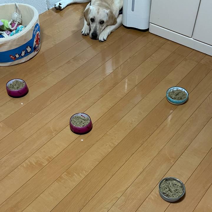 5e2ea97c 7feb 4330 bb99 e860f6be8aa3 1630029209268