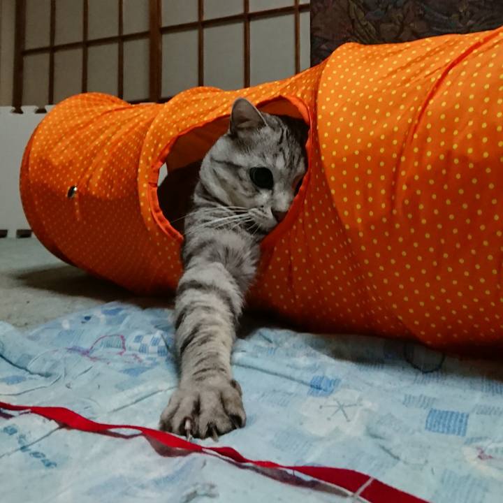 5e2ee0d9 8e35 4508 b0a1 9f5500b6a080 1539440274741