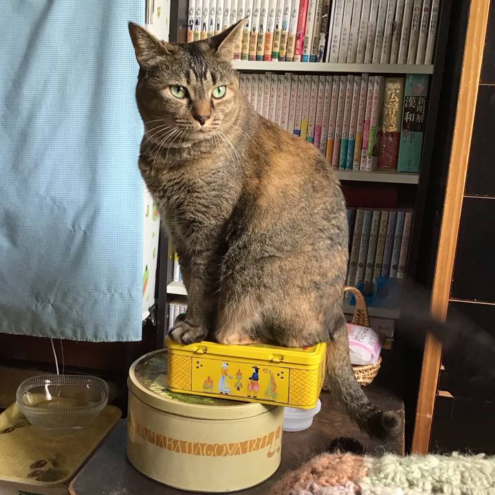 5e2efb26 e09a 4350 b7bf b56a7043d0a4 1716267028362