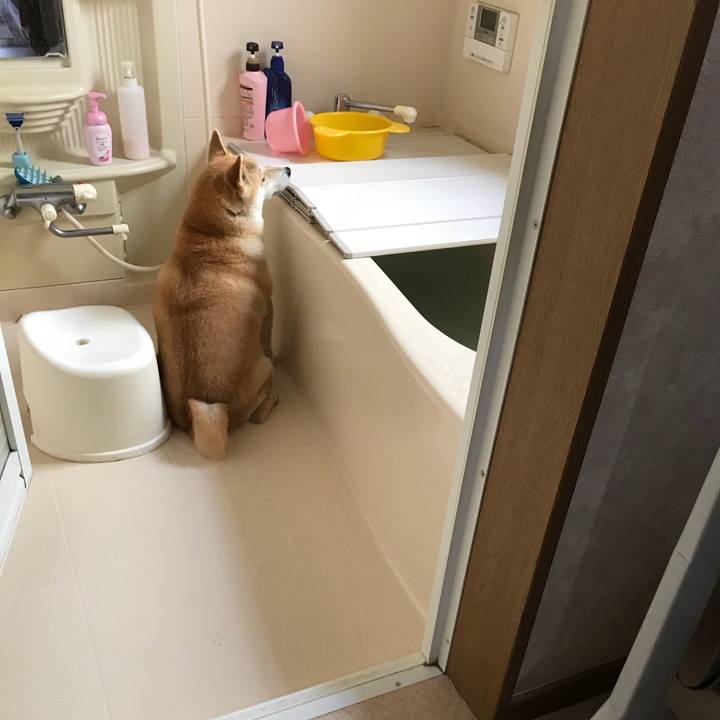 5e2f62e4 5209 4f87 99ae 81911456ce11 1528167978972