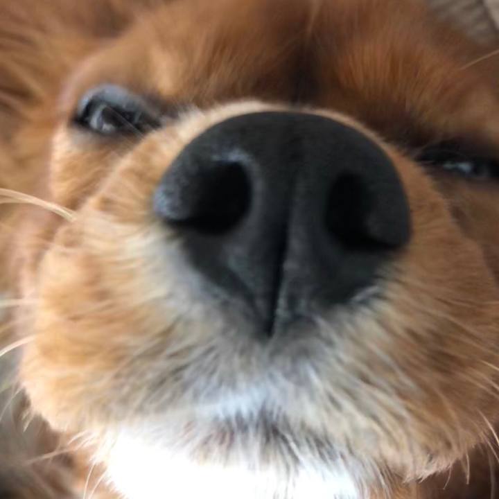 5e2f6d40 bcaf 4848 b860 8dc708053cfd 1543629377340