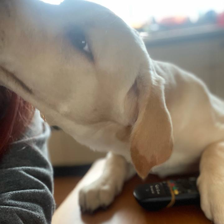 5e2f7bc4 6d48 4d1d abba ac81d5ff89bf 1614173218521