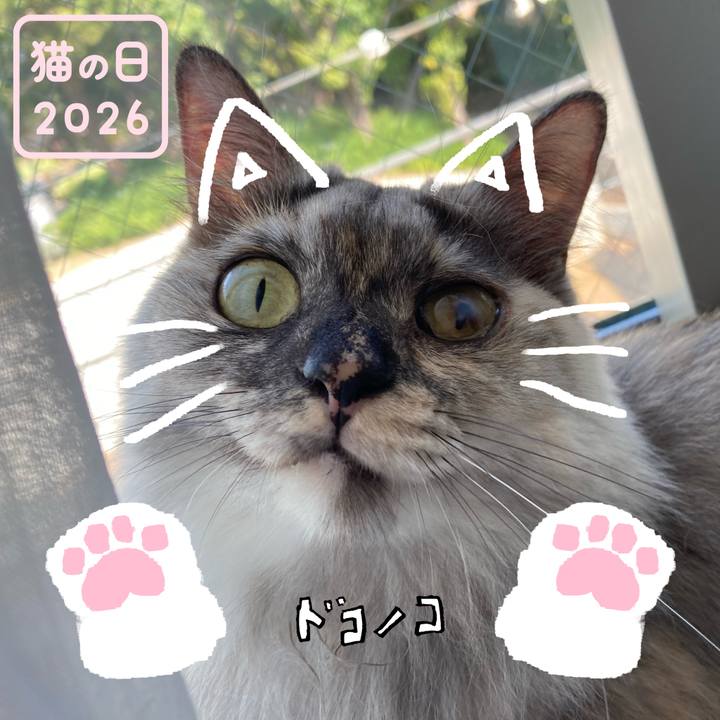 5e2f9ca5 4fb2 44aa adba b38e2e826672 1771730637280