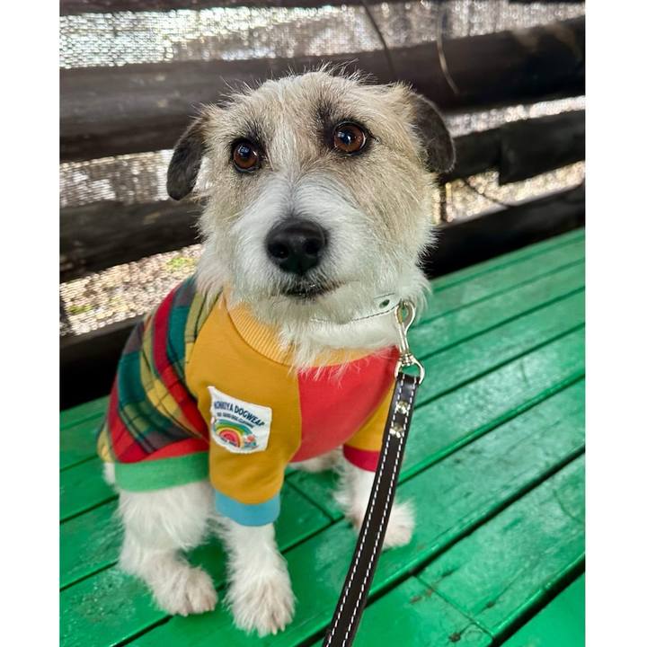 5e2fa12f f012 4525 a018 29d515d2242c 1737333327041