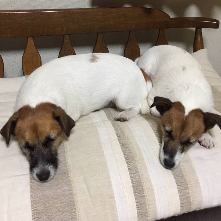 5e2fb6f4 33fa 4b13 bc7b 4633f1314842 1539432456651