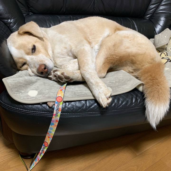 5e2ffdf8 b183 4893 8e26 cd7a31d708b9 1547479034710