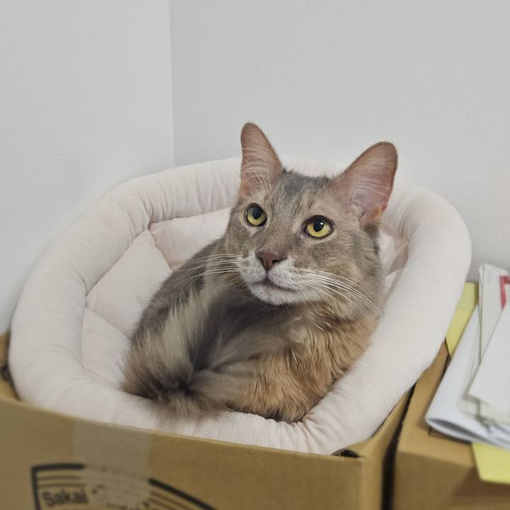 5e300456 5c51 4850 b462 cd43b98d4e13 1756187016502