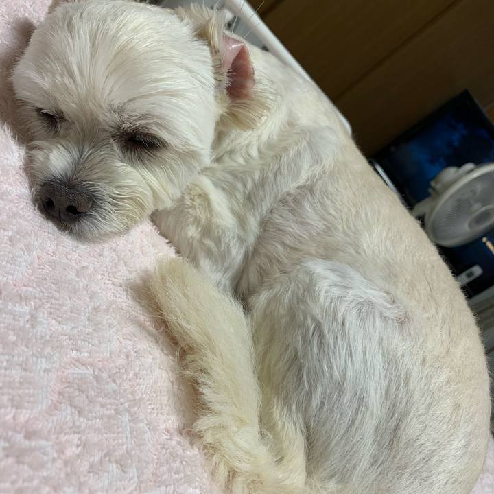 5e301a47 5859 4f63 8374 af5c96dc7eea 1632572774055