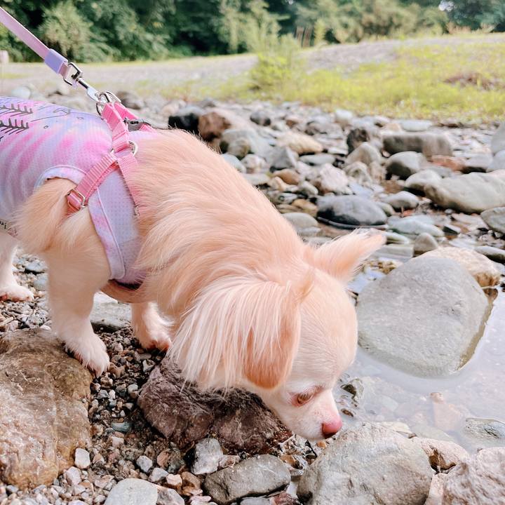 5e302b7f 9be9 4aad 933f 0d5bf4c9a5c5 1656243805943