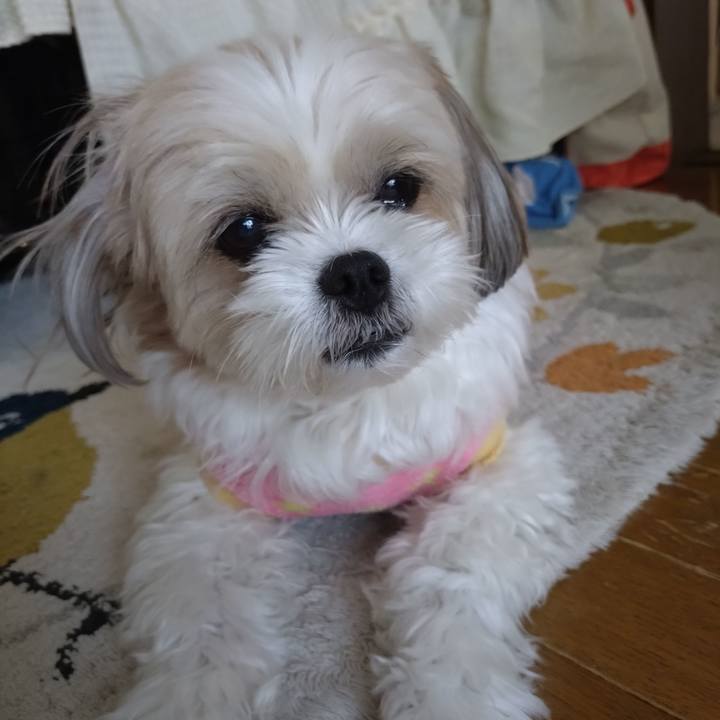 5e3034f8 8ee1 4dfd b89c 7d5aa58d5233 1765433858076