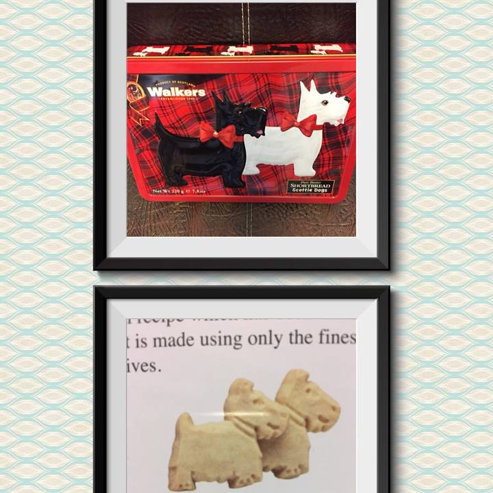 5e304195 641d 4ca9 a8a2 31976aa79ece 1509273761738