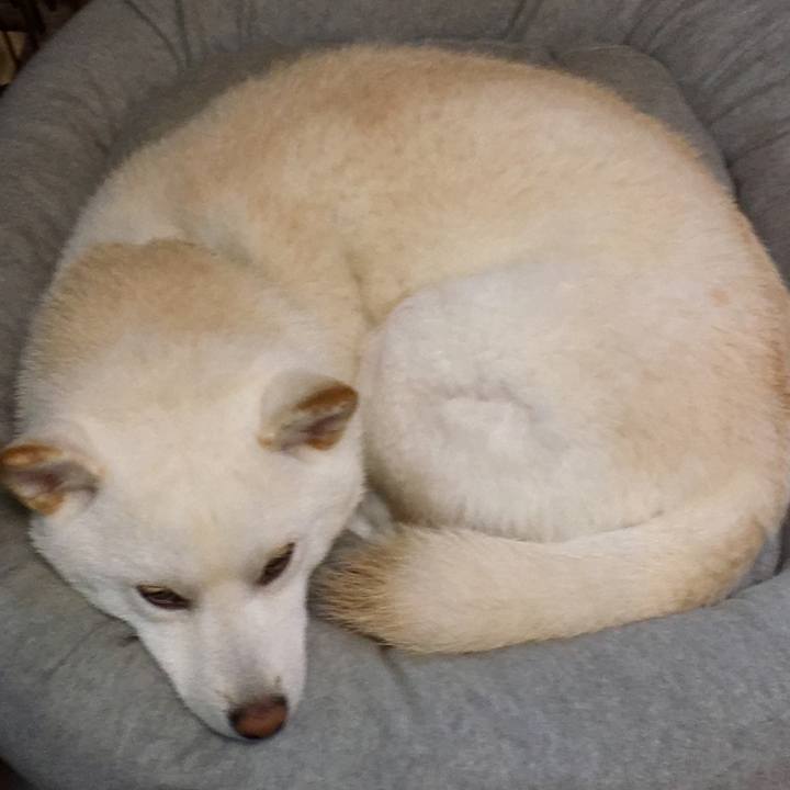 5e3063d6 6795 4c0d 8307 1227cd9b34c7 1511920769052