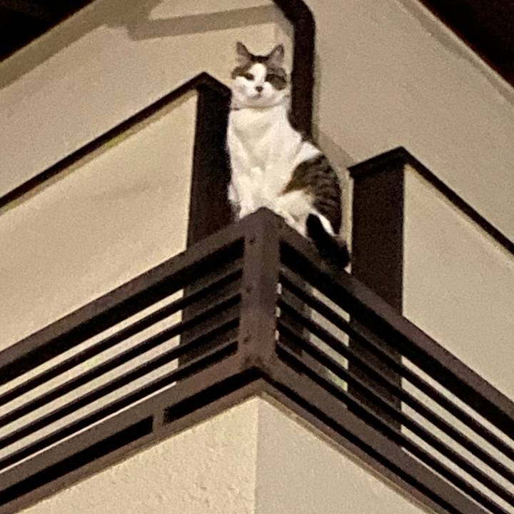 5e30a2d7 e0b9 4355 9385 380dcbd92278 1621984210637