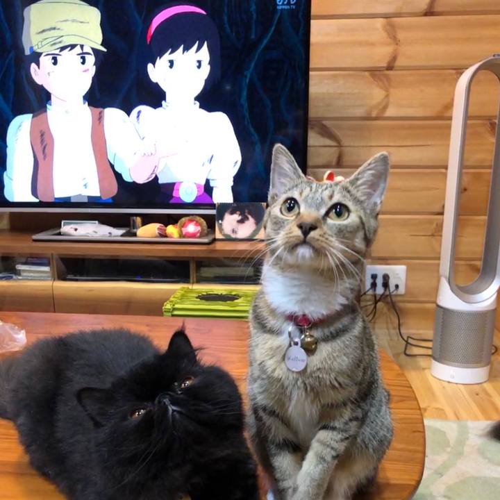 5e30b2fa cd81 4116 b6b9 11ca01d057a1 1567175595060