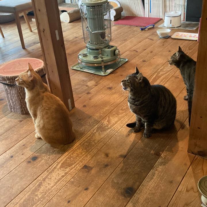 5e3131b8 f144 4342 b6e8 9c17aea61e77 1765099000002