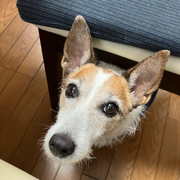 5e3152b8 2ecc 4811 8bc5 4a3ed3707316 1667949722586